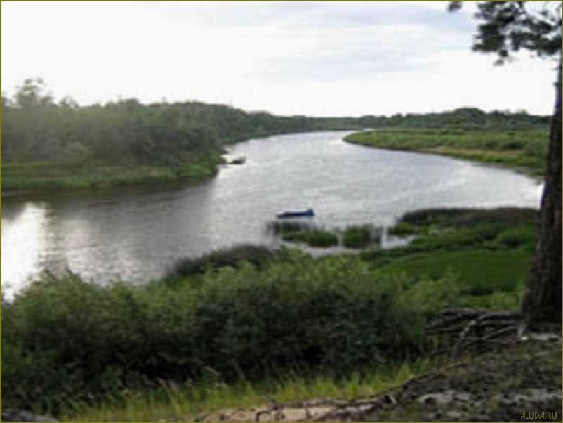 (прекрасная, база, отдыха, живописной, реке) Прекрасная база отдыха на живописной реке великой Кировской области — идеальное место для релакса и наслаждения природой