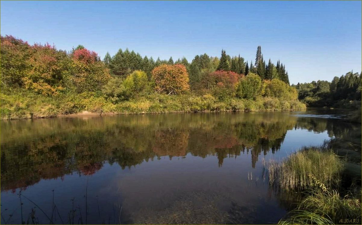 (прекрасная, база, отдыха, живописной, реке) Прекрасная база отдыха на живописной реке великой Кировской области — идеальное место для релакса и наслаждения природой