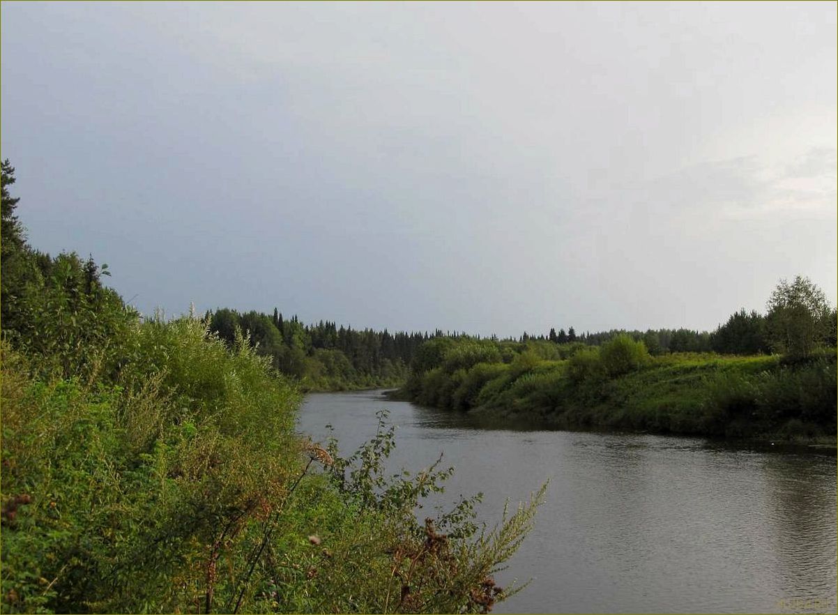 (прекрасная, база, отдыха, живописной, реке) Прекрасная база отдыха на живописной реке великой Кировской области — идеальное место для релакса и наслаждения природой