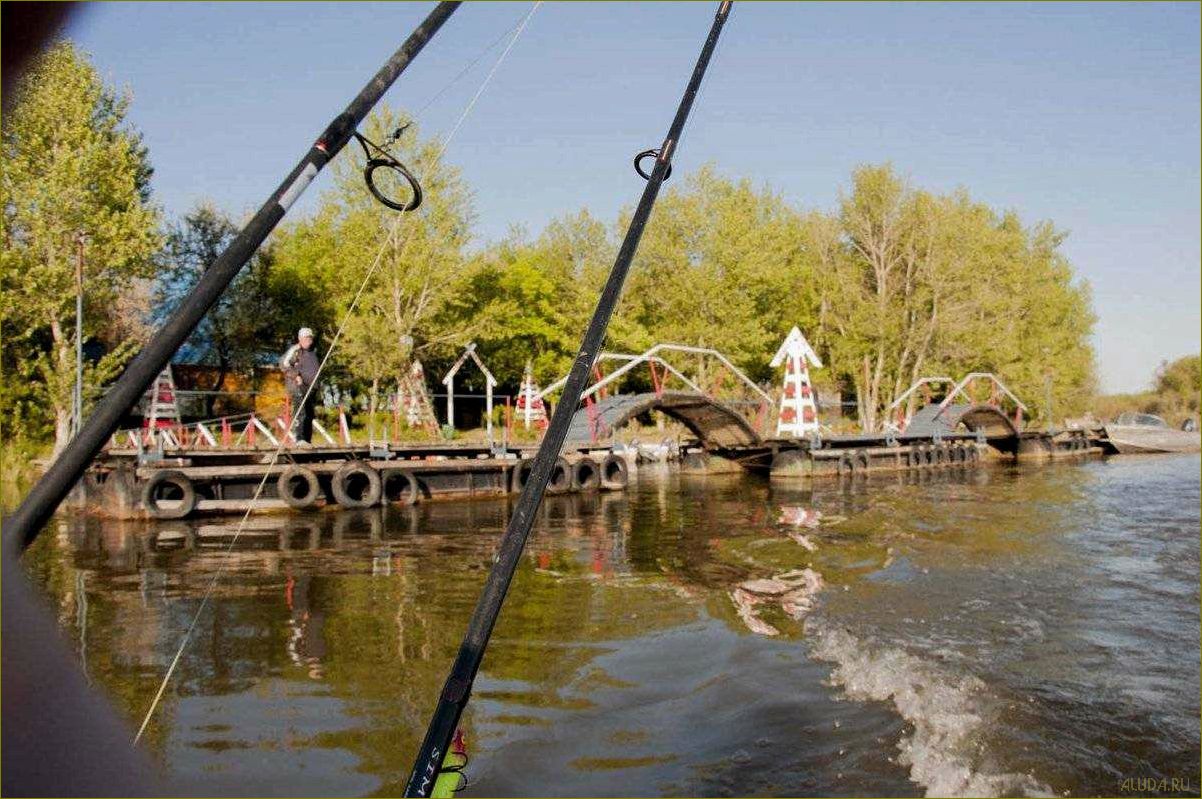 Уникальная база отдыха 