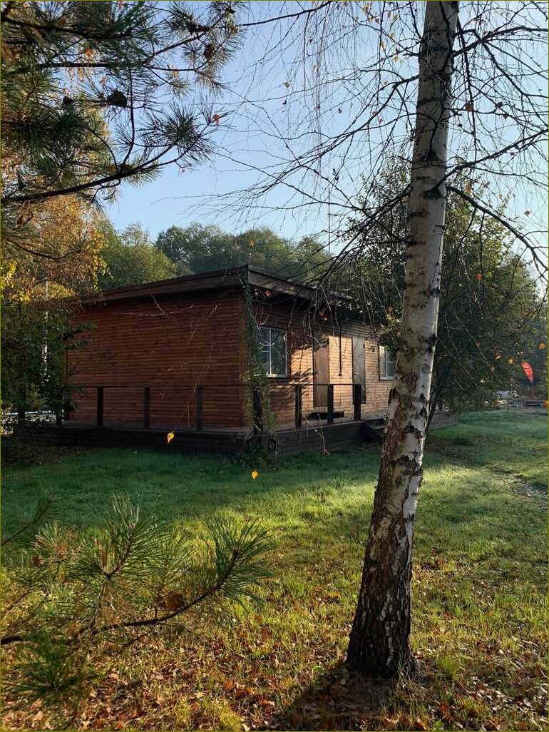 (уникальная, база, отдыха, петушках, владимирской) Уникальная база отдыха в петушках Владимирской области — идеальное место для релаксации и насыщенного отдыха в окружении природы