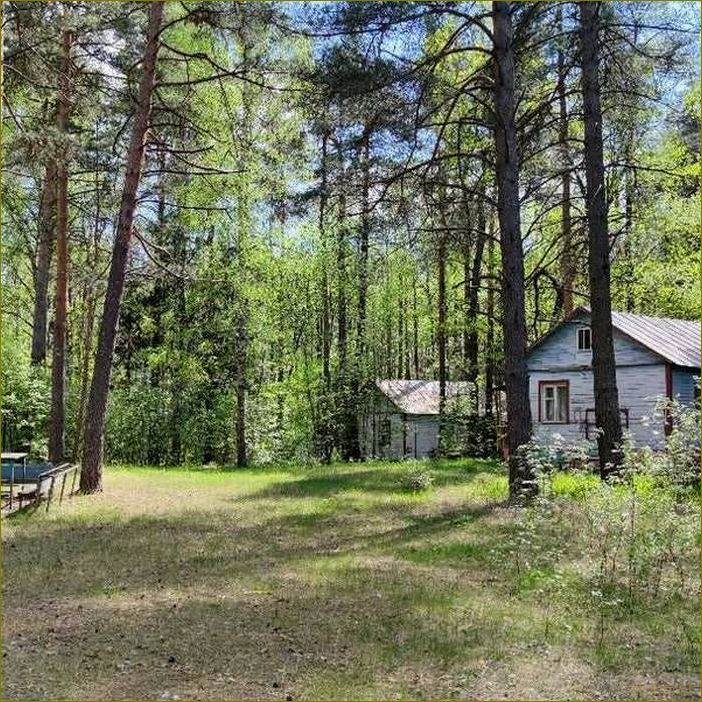 (уникальная, база, отдыха, петушках, владимирской) Уникальная база отдыха в петушках Владимирской области — идеальное место для релаксации и насыщенного отдыха в окружении природы