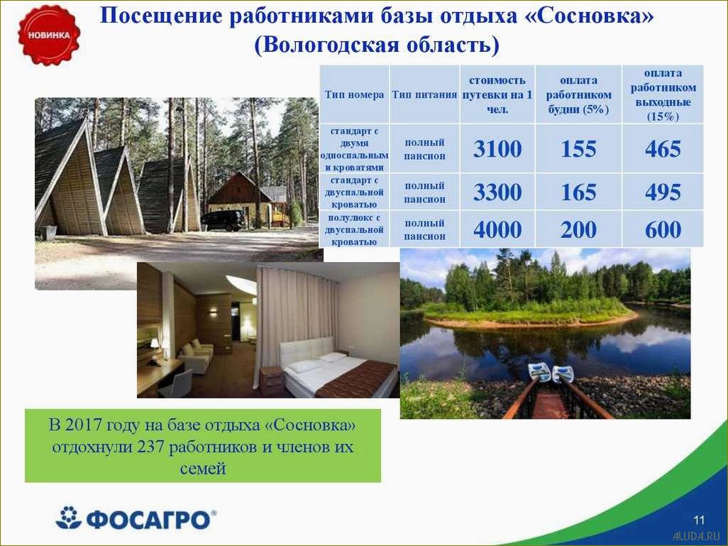 (проведите, незабываемые, каникулы, удивительной, базе) Проведите незабываемые каникулы на удивительной базе отдыха в живописной Сосновке Вологодской области