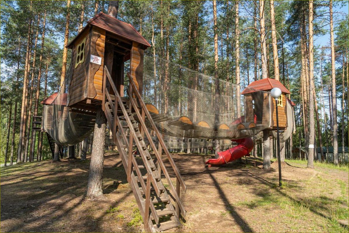 (проведите, незабываемые, каникулы, удивительной, базе) Проведите незабываемые каникулы на удивительной базе отдыха в живописной Сосновке Вологодской области