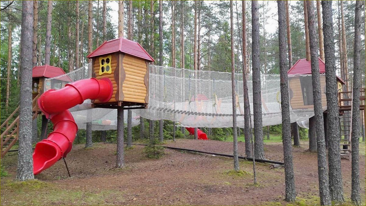 (проведите, незабываемые, каникулы, удивительной, базе) Проведите незабываемые каникулы на удивительной базе отдыха в живописной Сосновке Вологодской области