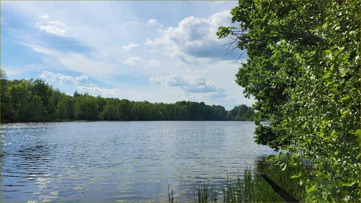 (база, отдыха, камешковском, районе, владимирской) База отдыха в Камешковском районе Владимирской области — идеальное место для отдыха и релаксации