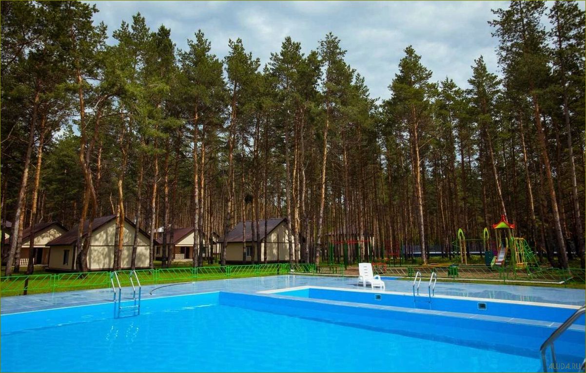 Лучшие базы отдыха в сосновом лесу Липецкой области — идеальное место для релаксации и восстановления сил