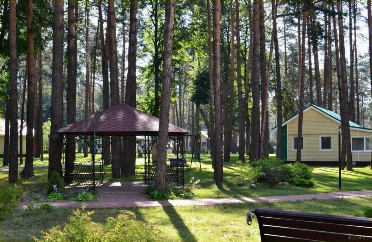 (лучшие, базы, отдыха, брянской, области) Лучшие базы отдыха в Брянской области с системой