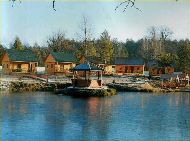 Лучшие базы отдыха для рыбалки в Брянской области — отдыхайте в окружении природы и ловите крупную рыбу!