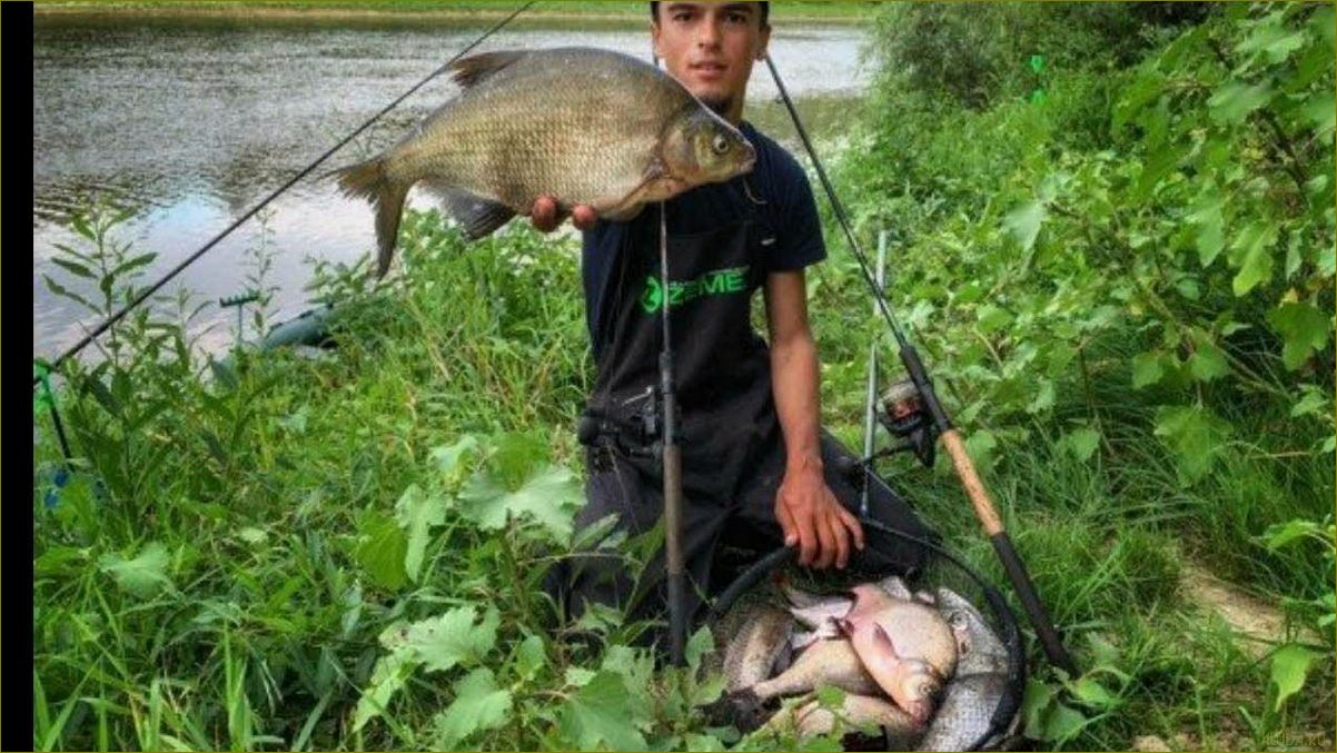 Лучшие базы отдыха для рыбалки в Брянской области — отдыхайте в окружении природы и ловите крупную рыбу!