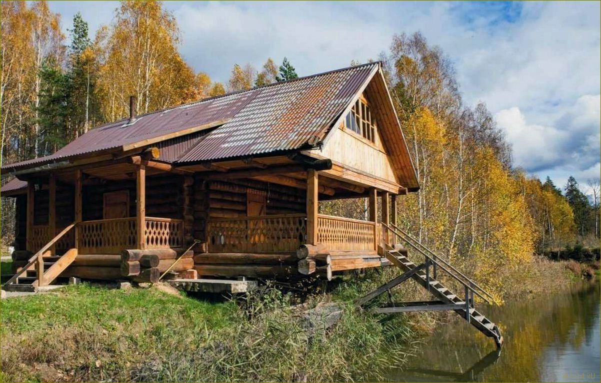 (идеальные, места, отдыха, берегу, озера) Идеальные места для отдыха на берегу озера в Владимирской области — выбираем базу отдыха с комфортными условиями и красивыми пейзажами