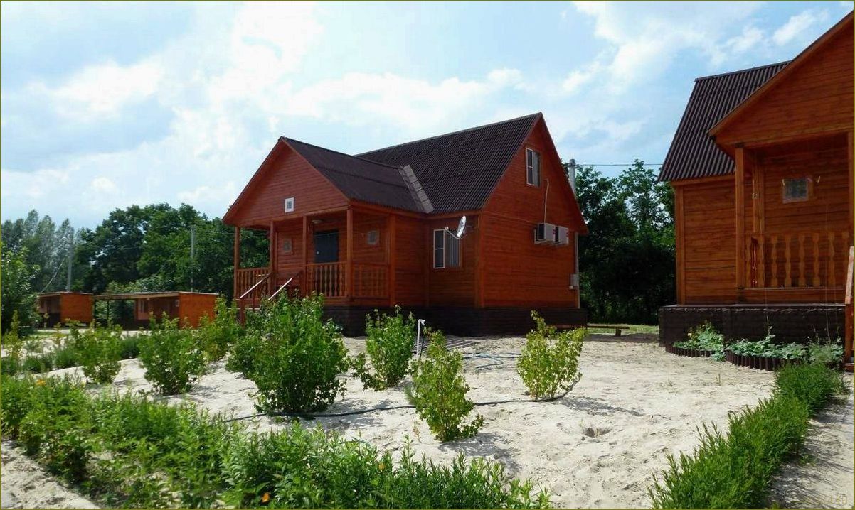 Лучшие базы отдыха на реке Дон в Волгоградской области — идеальное место для отдыха и релаксации