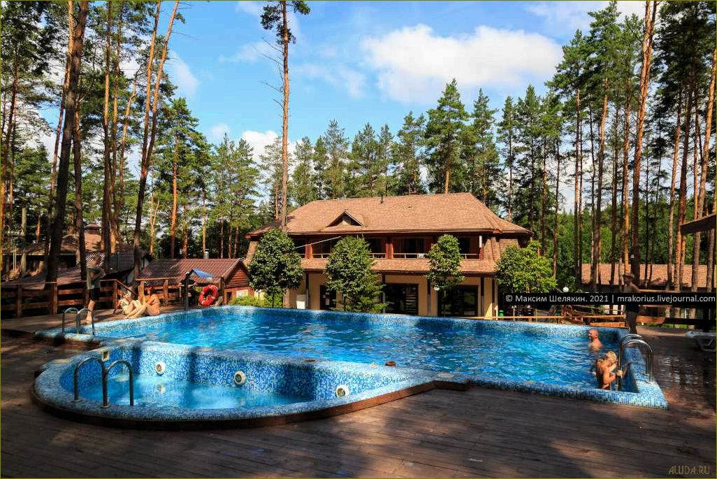 Лучшие базы отдыха в сосновом лесу Липецкой области — идеальное место для релаксации и восстановления сил