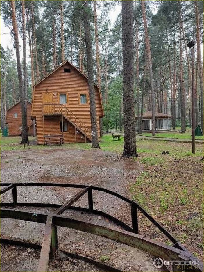 Лучшие базы отдыха в сосновом лесу Липецкой области — идеальное место для релаксации и восстановления сил