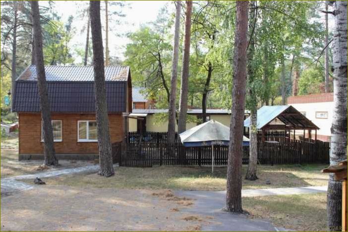 Базы отдыха в Воронежской области предлагают незабываемые впечатления, комфорт и разнообразие развлечений для идеального отдыха