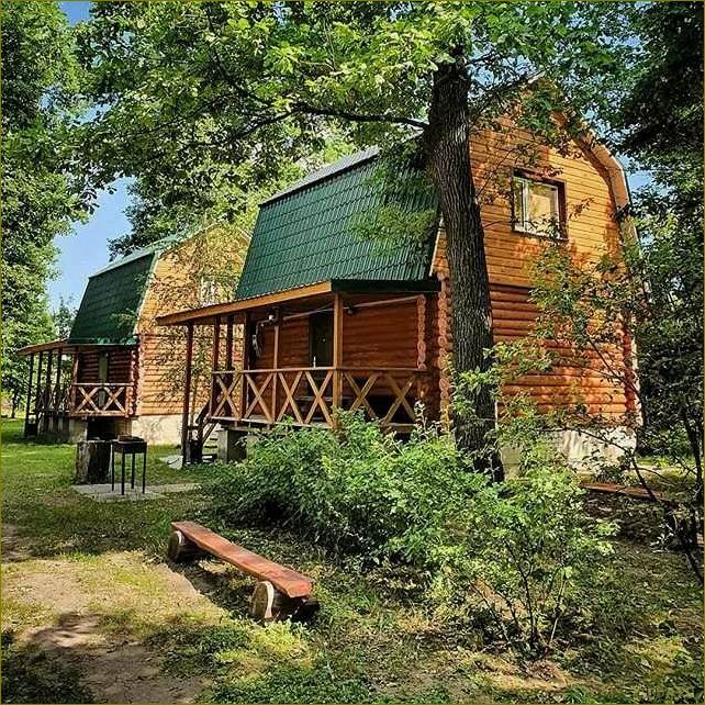 Базы отдыха в Воронежской области предлагают незабываемые впечатления, комфорт и разнообразие развлечений для идеального отдыха