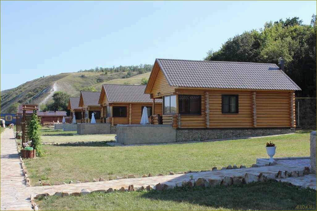 Базы отдыха в Воронежской области предлагают незабываемые впечатления, комфорт и разнообразие развлечений для идеального отдыха