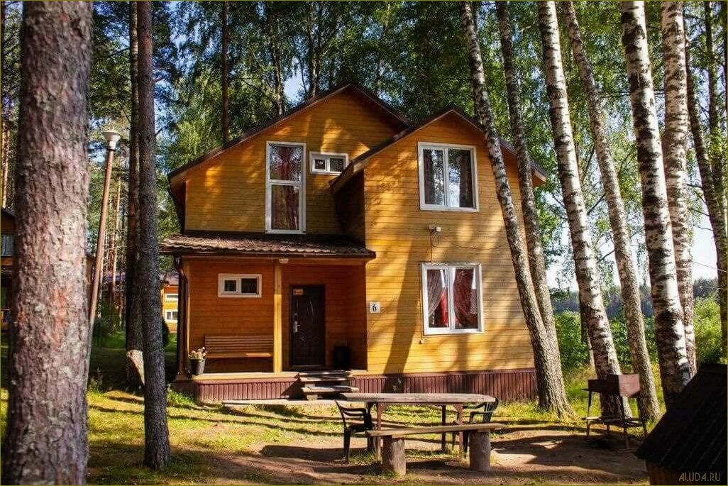 (лучшие, базы, отдыха, вологодской, области) Лучшие базы отдыха Вологодской области для незабываемого семейного отдыха с детьми