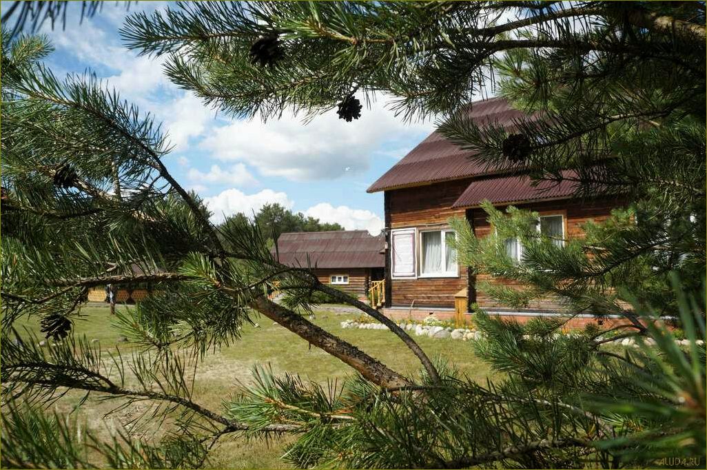 (лучшие, базы, отдыха, вологодской, области) Лучшие базы отдыха Вологодской области для незабываемого семейного отдыха с детьми