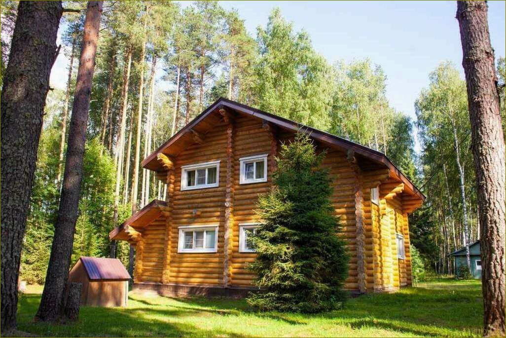 (лучшие, базы, отдыха, вологодской, области) Лучшие базы отдыха Вологодской области для незабываемого семейного отдыха с детьми