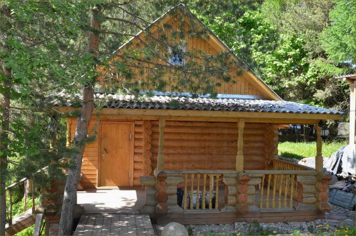 (лучшие, базы, отдыха, вологодской, области) Лучшие базы отдыха Вологодской области для незабываемого семейного отдыха с детьми