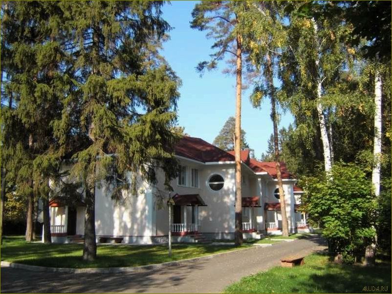 Планируете отдохнуть? Узнайте, как провести незабываемые каникулы в Московской области!