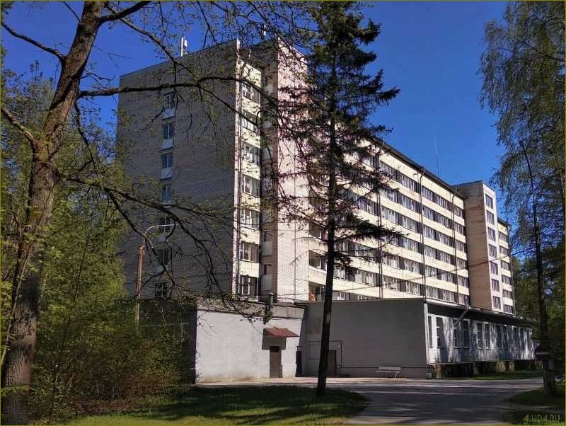 (отдыха, зеленогорске, ленинградской, области, идеальное) Дом отдыха в Зеленогорске Ленинградской области — идеальное место для релаксации и наслаждения природой