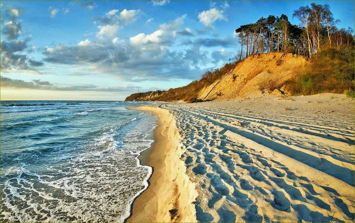 Калининградская область — идеальное место для летнего отдыха с песчаными пляжами, живописными лесами и богатым культурным наследием