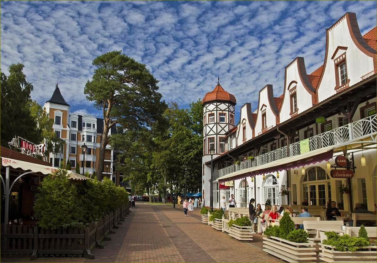 Калининградская область — идеальное место для летнего отдыха с песчаными пляжами, живописными лесами и богатым культурным наследием