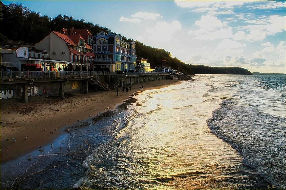 Калининградская область — идеальное место для летнего отдыха с песчаными пляжами, живописными лесами и богатым культурным наследием