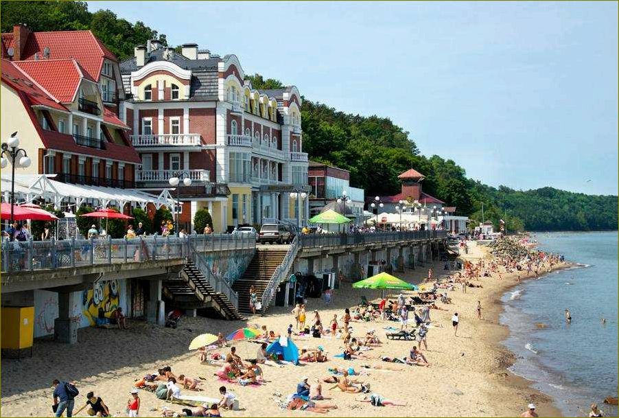 Калининградская область — идеальное место для летнего отдыха с песчаными пляжами, живописными лесами и богатым культурным наследием