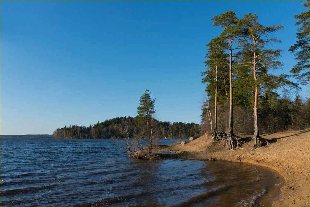 Кавголово — ленинградская область прекрасное место для базы отдыха с богатым выбором развлечений и уникальной природой