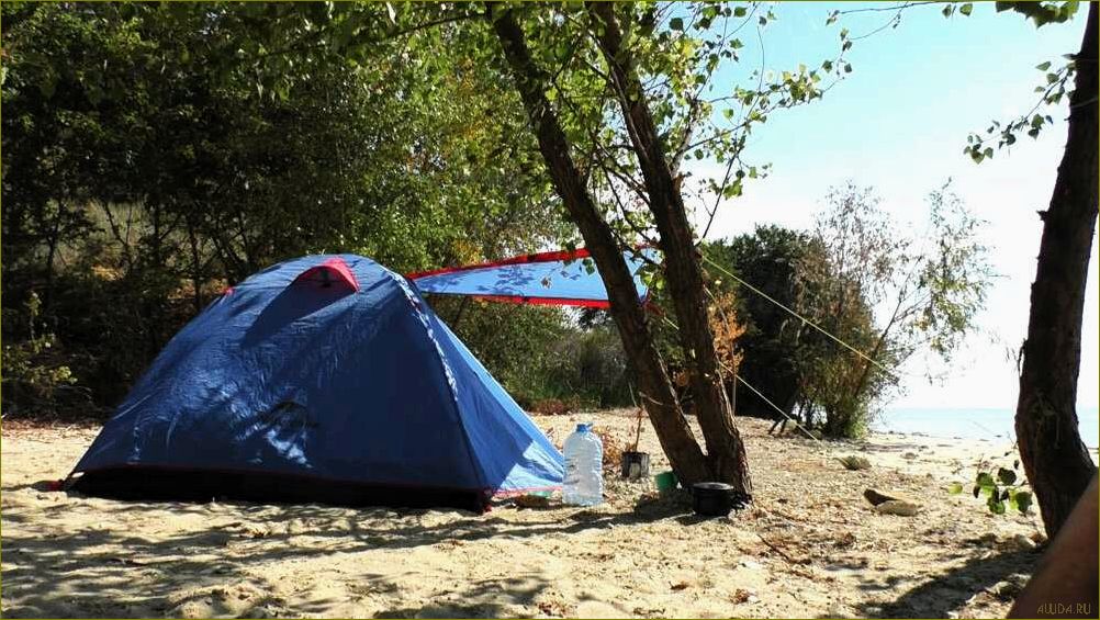 Кемпинги в живописной Липецкой области — идеальное место для отдыха на природе с семьей и друзьями