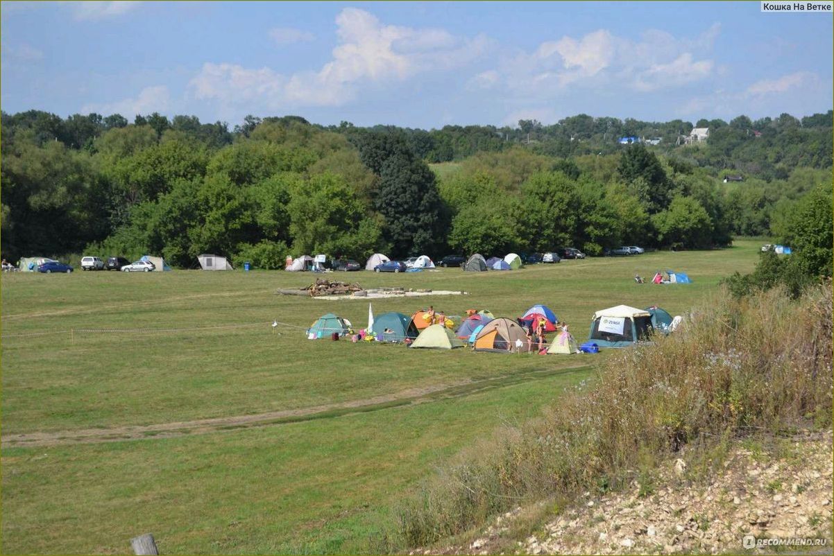 Кемпинги в живописной Липецкой области — идеальное место для отдыха на природе с семьей и друзьями