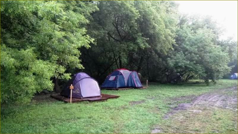 Кемпинги в живописной Липецкой области — идеальное место для отдыха на природе с семьей и друзьями