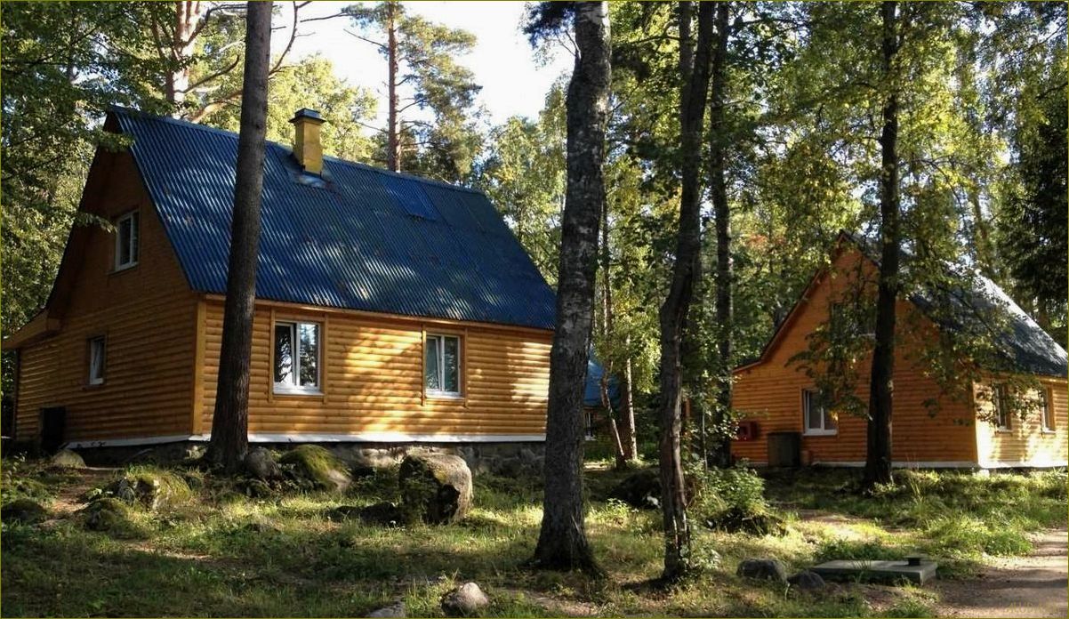 Коммунары — идеальная база отдыха в Ленинградской области для полного релакса и наслаждения природой