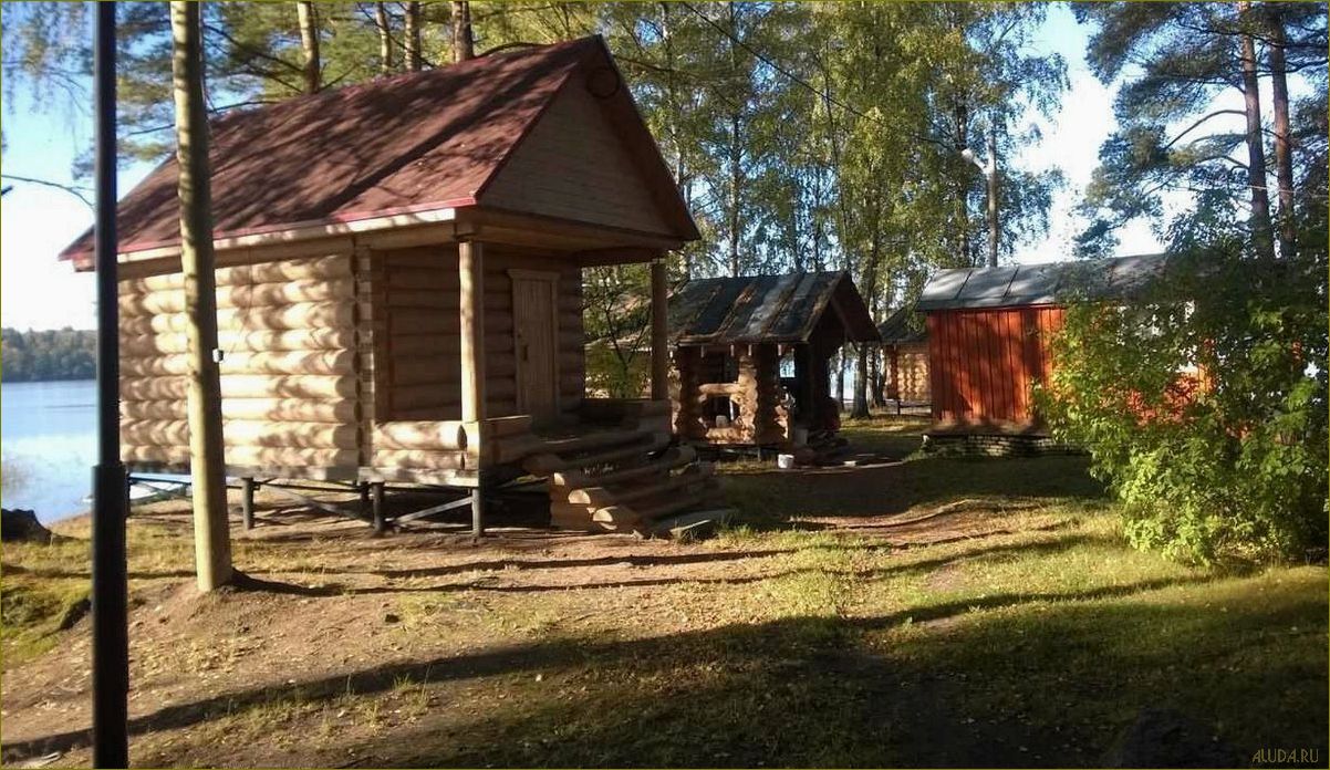 Коммунары — идеальная база отдыха в Ленинградской области для полного релакса и наслаждения природой
