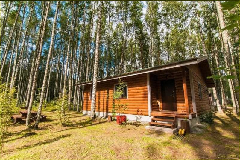 Коммунары — идеальная база отдыха в Ленинградской области для полного релакса и наслаждения природой