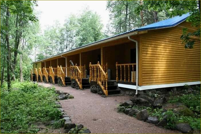 Коммунары — идеальная база отдыха в Ленинградской области для полного релакса и наслаждения природой