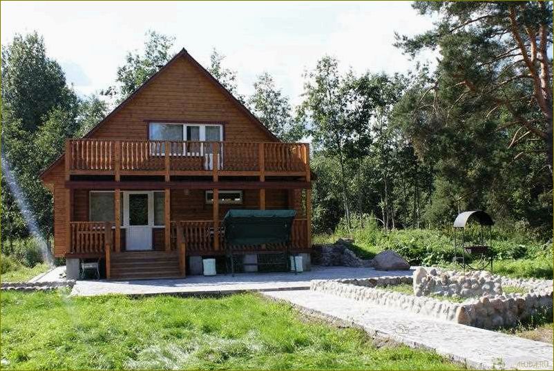 Коммунары — идеальная база отдыха в Ленинградской области для полного релакса и наслаждения природой