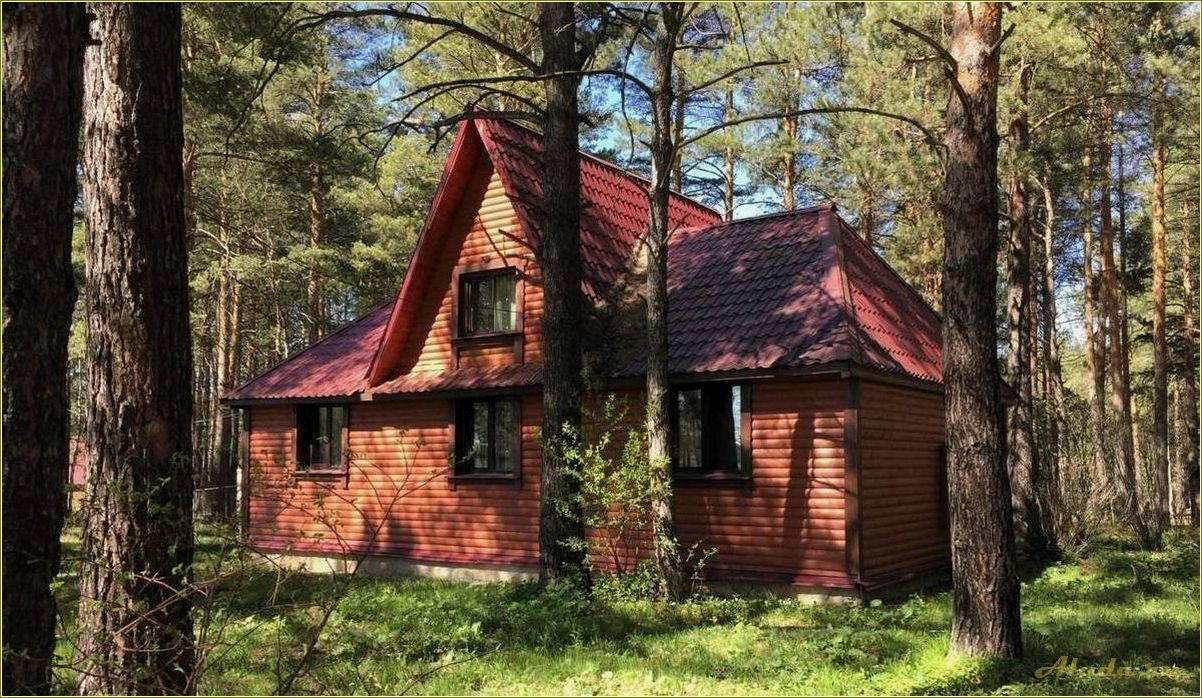 (красивые, базы, отдыха, свердловская, область) Красивые базы отдыха Свердловская область