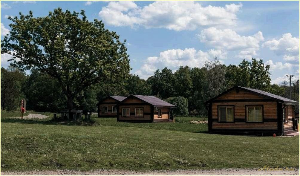 (купить, незабываемый, отдых, живописной, пензенской) Купить незабываемый отдых в живописной пензенской области и насладиться прекрасными природными ландшафтами, комфортными условиями и гостеприимством местных жителей