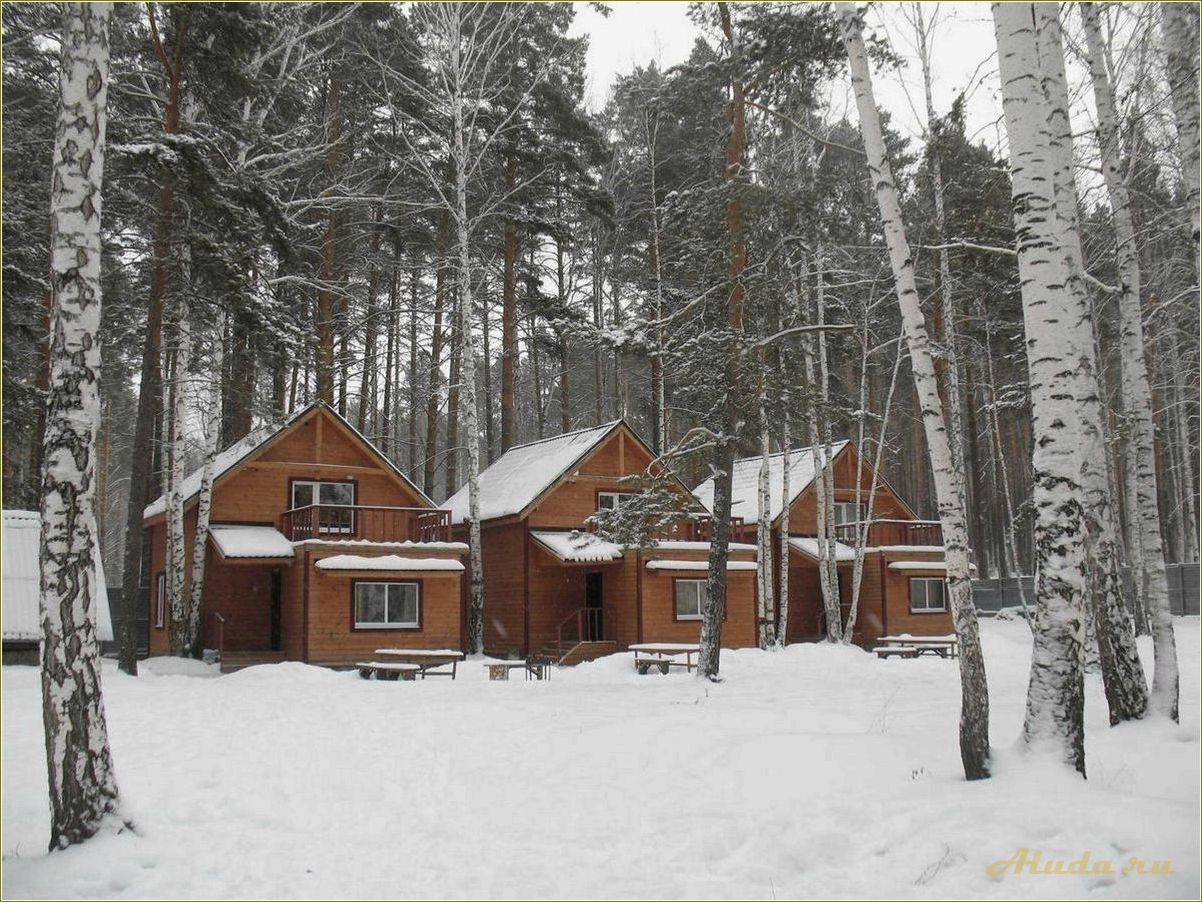 (купоны, базу, отдыха, свердловская, область) Купоны на базу отдыха Свердловская область