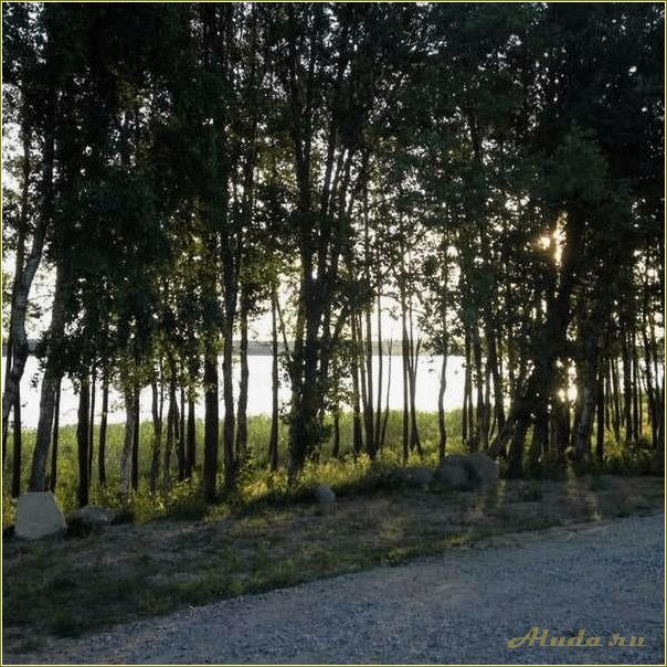 Лагуна база отдыха Заречный Свердловская область