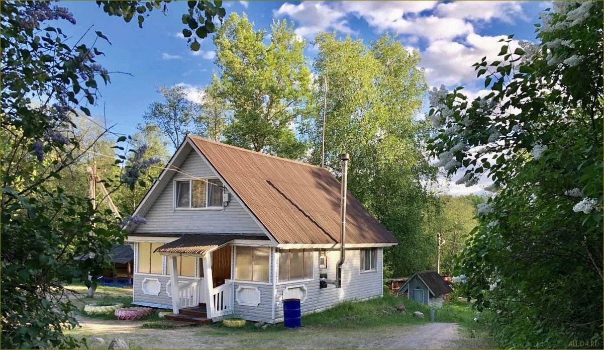 Матроскин база отдыха в Ленинградской области — уникальный курорт, идеальный для семейного отдыха и активного времяпрепровождения