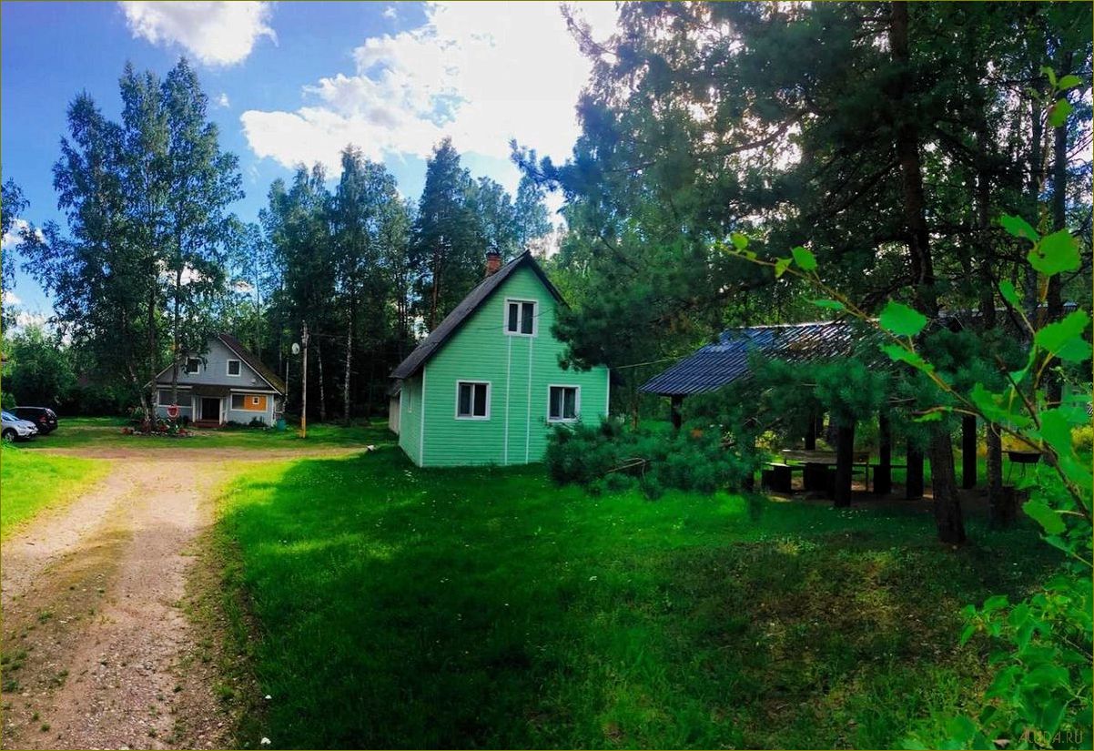 Матроскин база отдыха в Ленинградской области — уникальный курорт, идеальный для семейного отдыха и активного времяпрепровождения