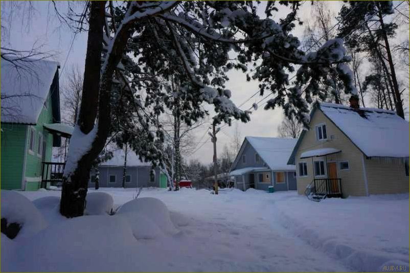 Матроскин база отдыха в Ленинградской области — уникальный курорт, идеальный для семейного отдыха и активного времяпрепровождения