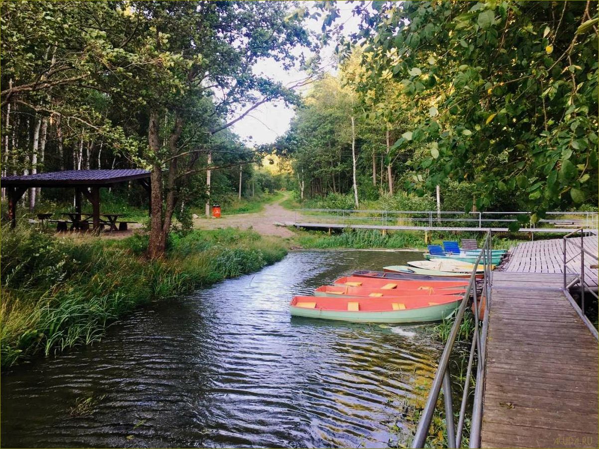 Матроскин база отдыха в Ленинградской области — уникальный курорт, идеальный для семейного отдыха и активного времяпрепровождения