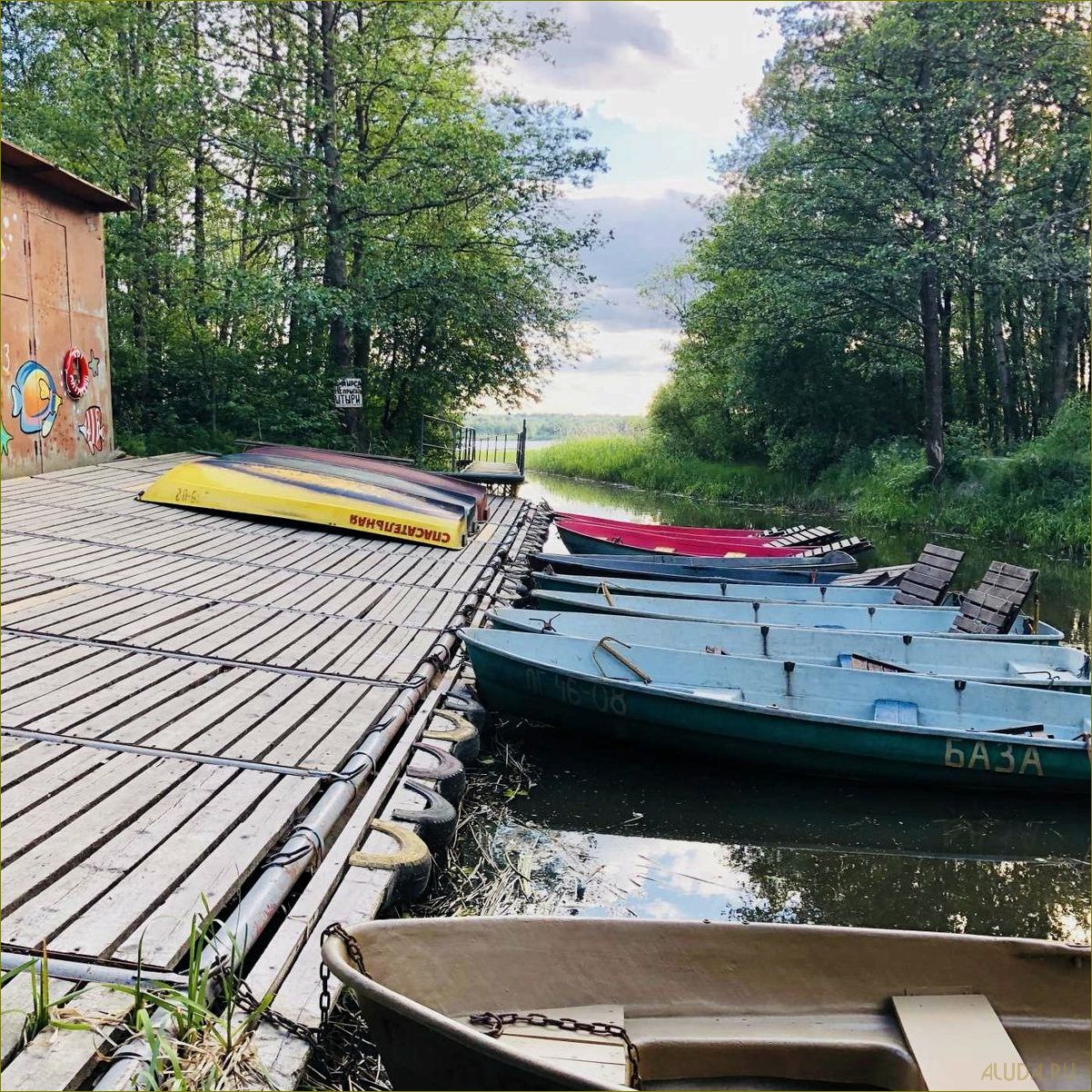 Матроскин база отдыха в Ленинградской области — уникальный курорт, идеальный для семейного отдыха и активного времяпрепровождения