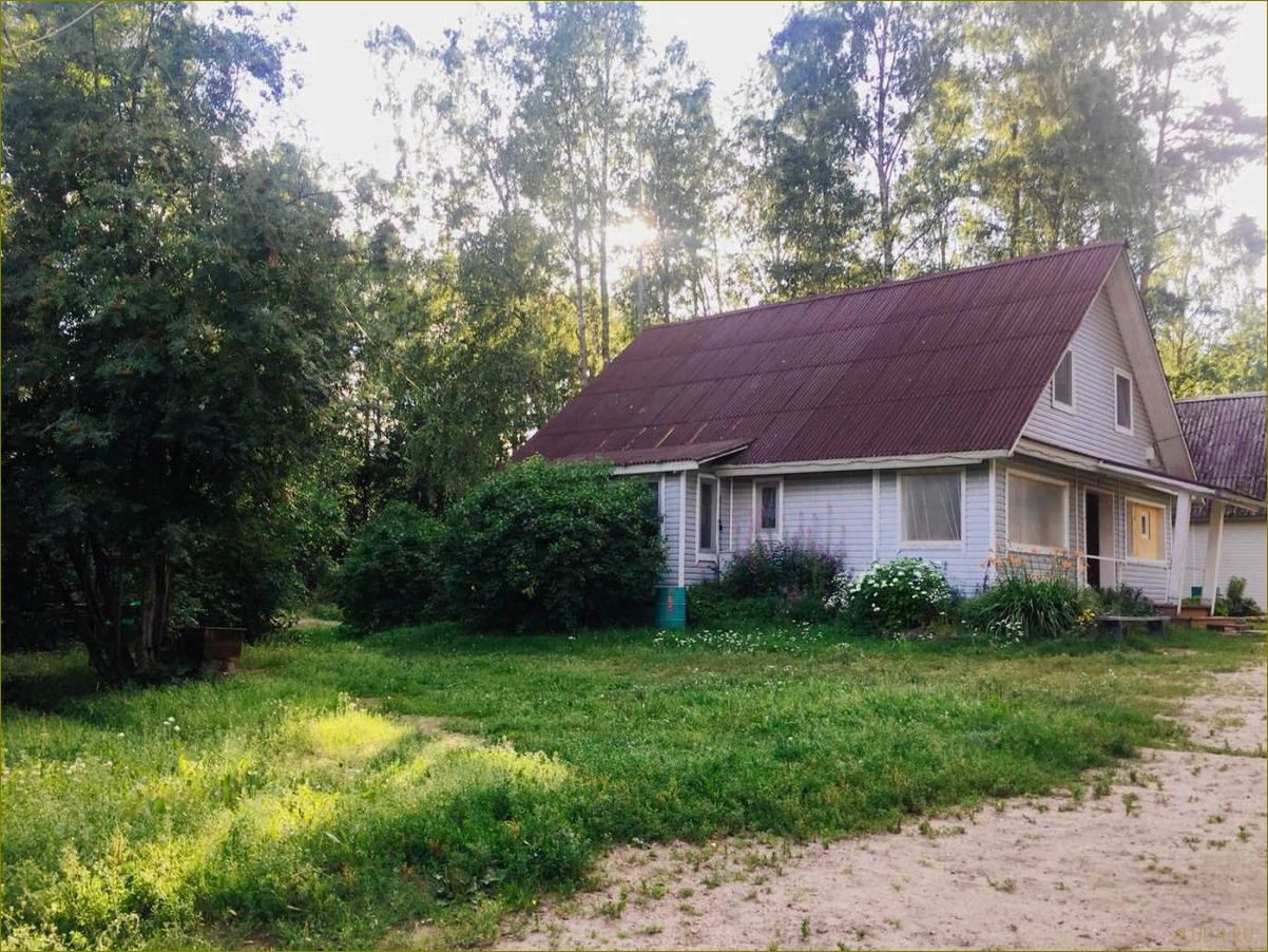 Матроскин база отдыха в Ленинградской области — уникальный курорт, идеальный для семейного отдыха и активного времяпрепровождения